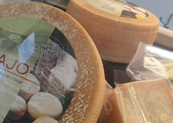 팜스테이 Il Pianaccio